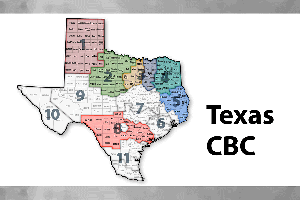 Texas CBC statewide map